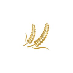 Wheat logo template vector icon