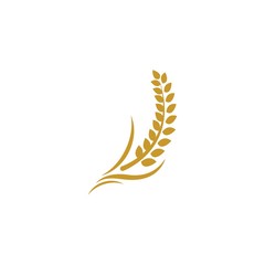 Wheat logo template vector icon