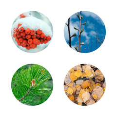Seasons: winter, spring, summer, autumn. Round natural icons. Set. Isolated on a white background.