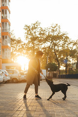 Stylish lady playing with playful dog outdoors on sunset background and beautiful autumn landscape....