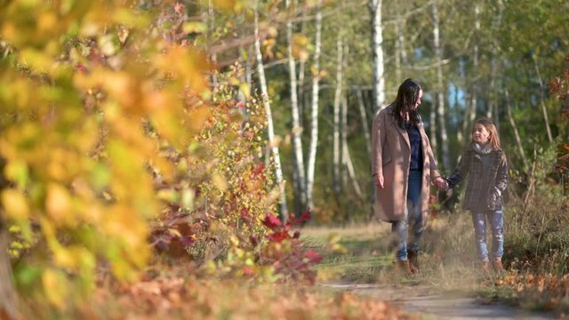 Happy mom walks with her daughter in the autumn park. The family is walking in the autumn park. happy childhood concept.