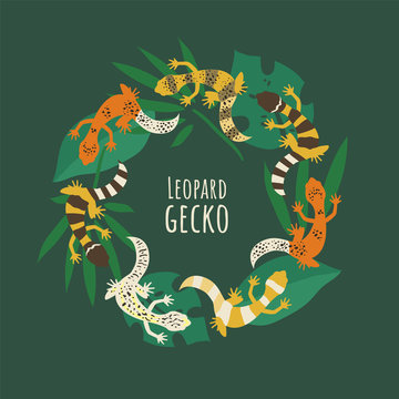 Leopard geckos with tropical leaves. Colorful lizards exotic illustration for web or print. - Vector