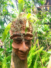 Orchid pot