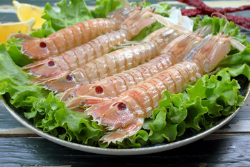 canocchie, o cicale di mare crude in piatto su letto di insalata verde