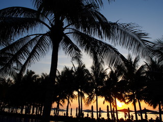 南国リゾート　夕陽　夕焼け