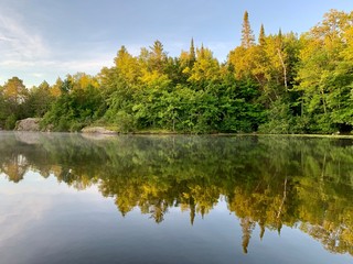 water's edge trees reflection in clear lake 