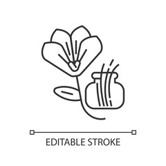 Saffron linear icon. Saffron crocus. Expensive spice. Supplement. Food seasoning and coloring. Thin line customizable illustration. Contour symbol. Vector isolated outline drawing. Editable stroke