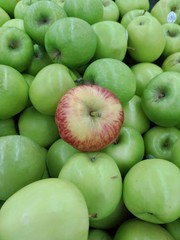a red apple under a number of green apples