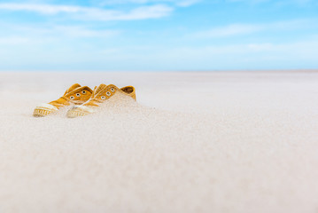 Fototapeta na wymiar Baby shoes in the sand on the beach