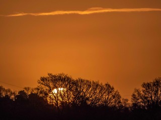 beautiful orange sunrise through the trees in Winter