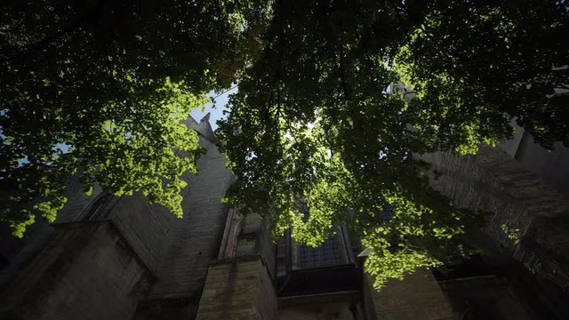 Dijon - cath&eacute;drale 2 
