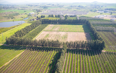 Cape Town, Western Cape / South Africa - 07/24/2020: Aerial photo of vineyards and a square of trees in Paarl