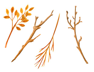 Watercolor dry tree branches and autumn leaves set. Hand painted bare twigs and sticks collection isolated on white background. Wooden nature elements for decoration