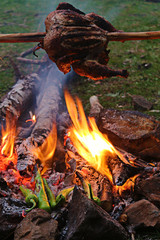 barbecue in the forest