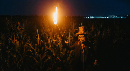 Fototapeta premium Walking dead zombie stands in cornfield with burning torch.