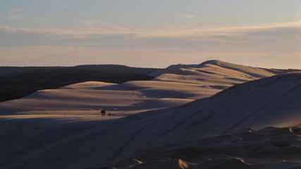 Panorama de la Dune du Pilat, au milieu de laquelle marchent des personnes