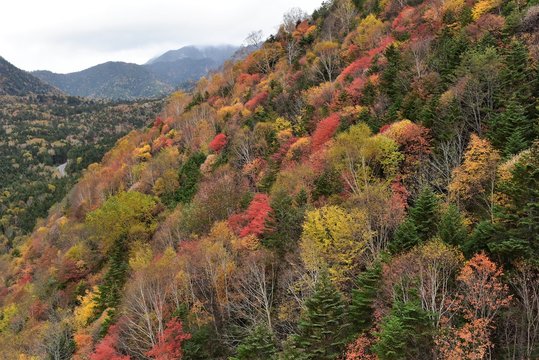 1 241 Best 白根山 Images Stock Photos Vectors Adobe Stock 1 241 Best 白根山 Images Stock Photos Vectors Adobe Stock