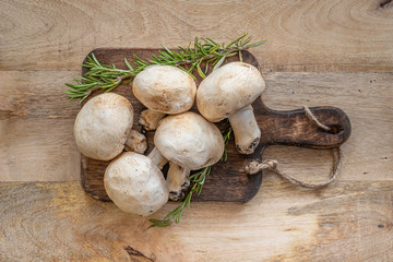 Angri, Italy. Small group of raw white champignon mushrooms with rosemary sprigs on wooden cutting board.