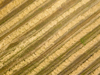 Aerial drone view. Harvested Ukrainian wheat field.
