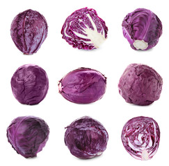 Set of fresh ripe red cabbages on white background