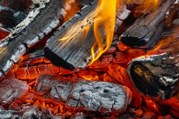 Burning oak wood in Russian stove. Stove in country house. Bright flame over hot coals. Close-up. Embers glow against blurred orange flame background. Selective focus.