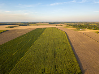 Aerial drone view of Ukrainian agricultural fields.