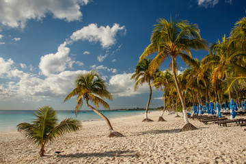 Obraz premium Beatiful beaches of Riviera maya in Tulum, Mexico