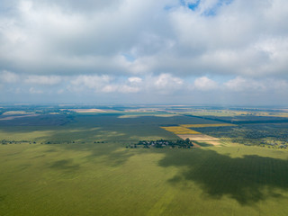 Aerial drone view. Ukrainian green corn field on a summer day.