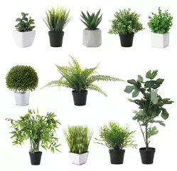 Foto op Plexiglas Set van kunstmatige planten in bloempotten geïsoleerd op wit © New Africa