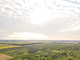 Obraz premium Aerial view. Sunset over Ukrainian agricultural fields.