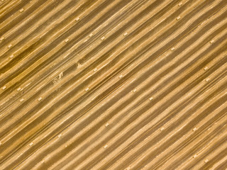 Aerial drone view. Harvested Ukrainian wheat field.