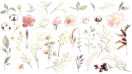 Big set of watercolor and golden leaves, herbs, branches, wildflowers and berries.