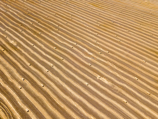 Aerial drone view. Harvested Ukrainian wheat field.