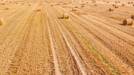 Aerial view at a wide agricultural field with many bales of straw on it.