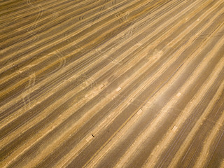 Aerial drone view. Harvested Ukrainian wheat field.