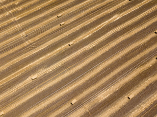 Aerial drone view. Harvested Ukrainian wheat field.