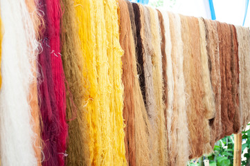 Silk thread from a dyed pupa