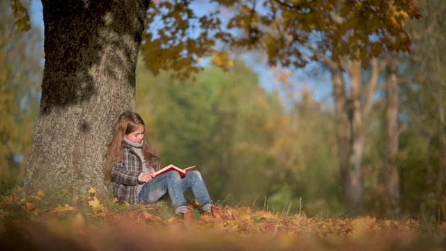 School-Age Girl Reads A Book Sitting Under A Large Autumn Tree. A Child Reads A Book in a Sunny Autumn Park.
