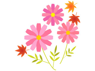 秋の花　コスモスと紅葉