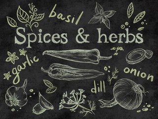 Spices and herbs chalk hand drawn set on black board © MerianIva