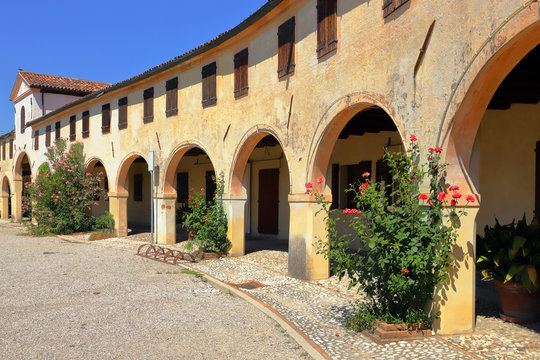Badoere e rose rosse in Italia, Red roses in Badoere in Italy
