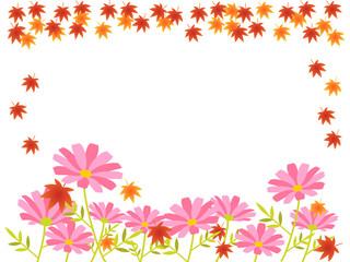 秋の花　コスモスと紅葉