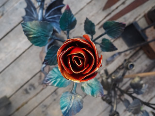 photo of the iron red rose