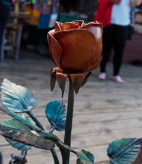 photo of the iron red rose