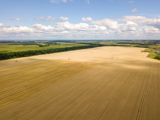 Fototapeta na wymiar Ukrainian wheat field. Aerial drone view.