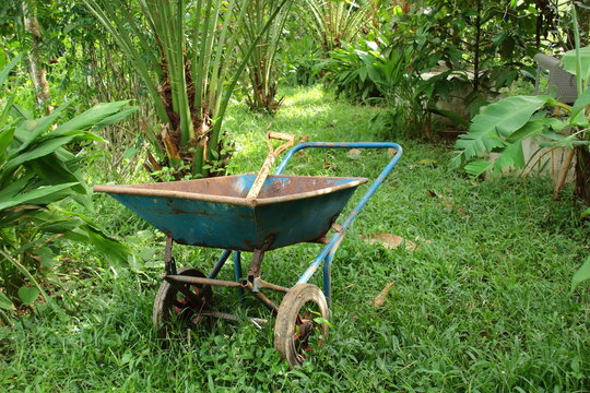 old wheelbarrow in the garden