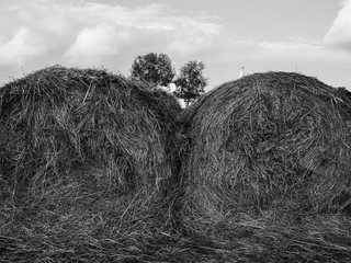 black and white photo of two haystacks above a cloudy sky