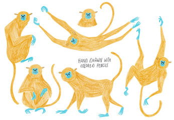 Set Of Isolated Monkey illustrations.