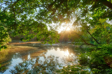 Sonnenaufgang an einem See im Park in Düsseldorf