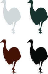 set of emu birds